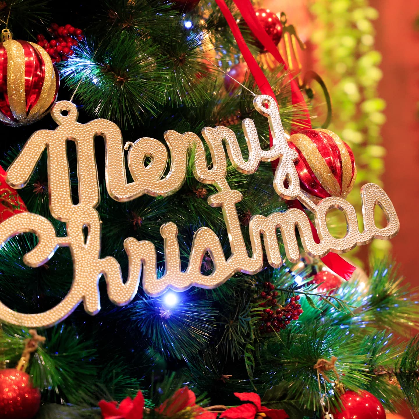 468968831_1258468972027164_7492324509488262986_n